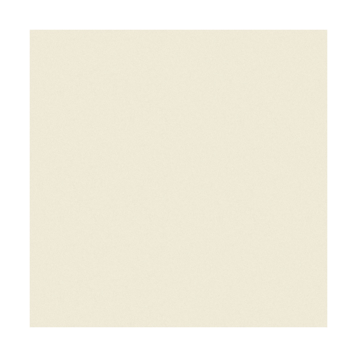 608522051-piso-porcelanato-rec-atlanta-marfil-cd-2.jpg
