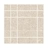 Sand Dune Mosaic Sand Dune Mosaic